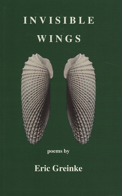 invisible wings cover image